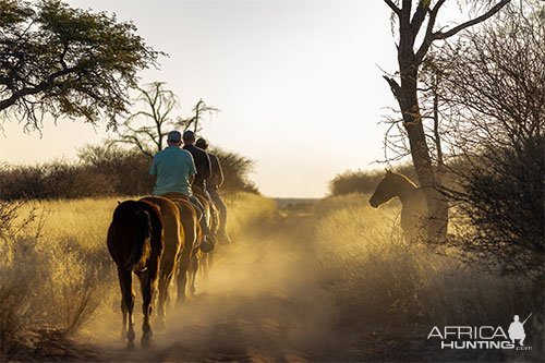 Scenery Namibia