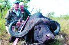 SCI #4 Cape Buffalo