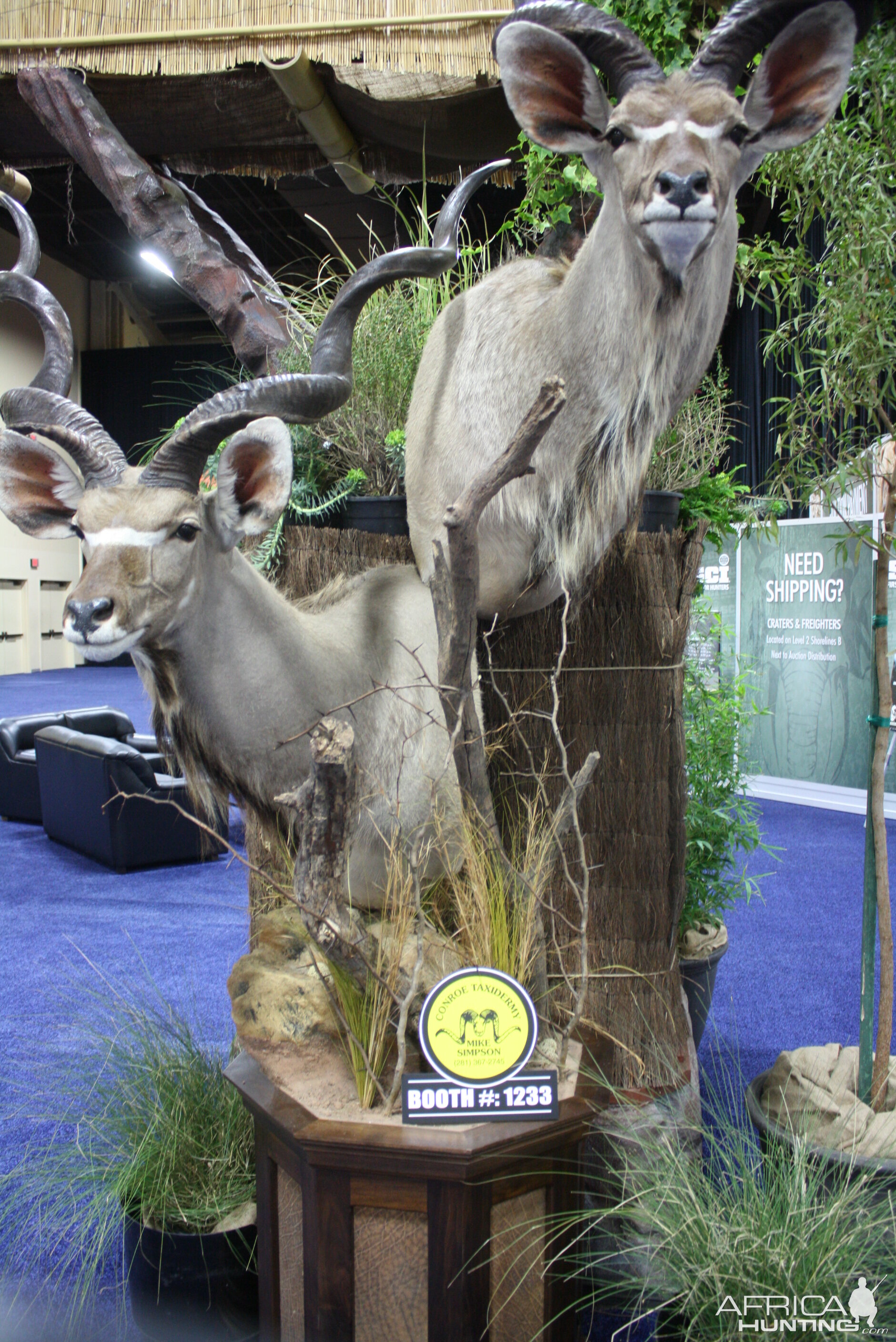 SCI Convention 2014 Taxidermy Mounts