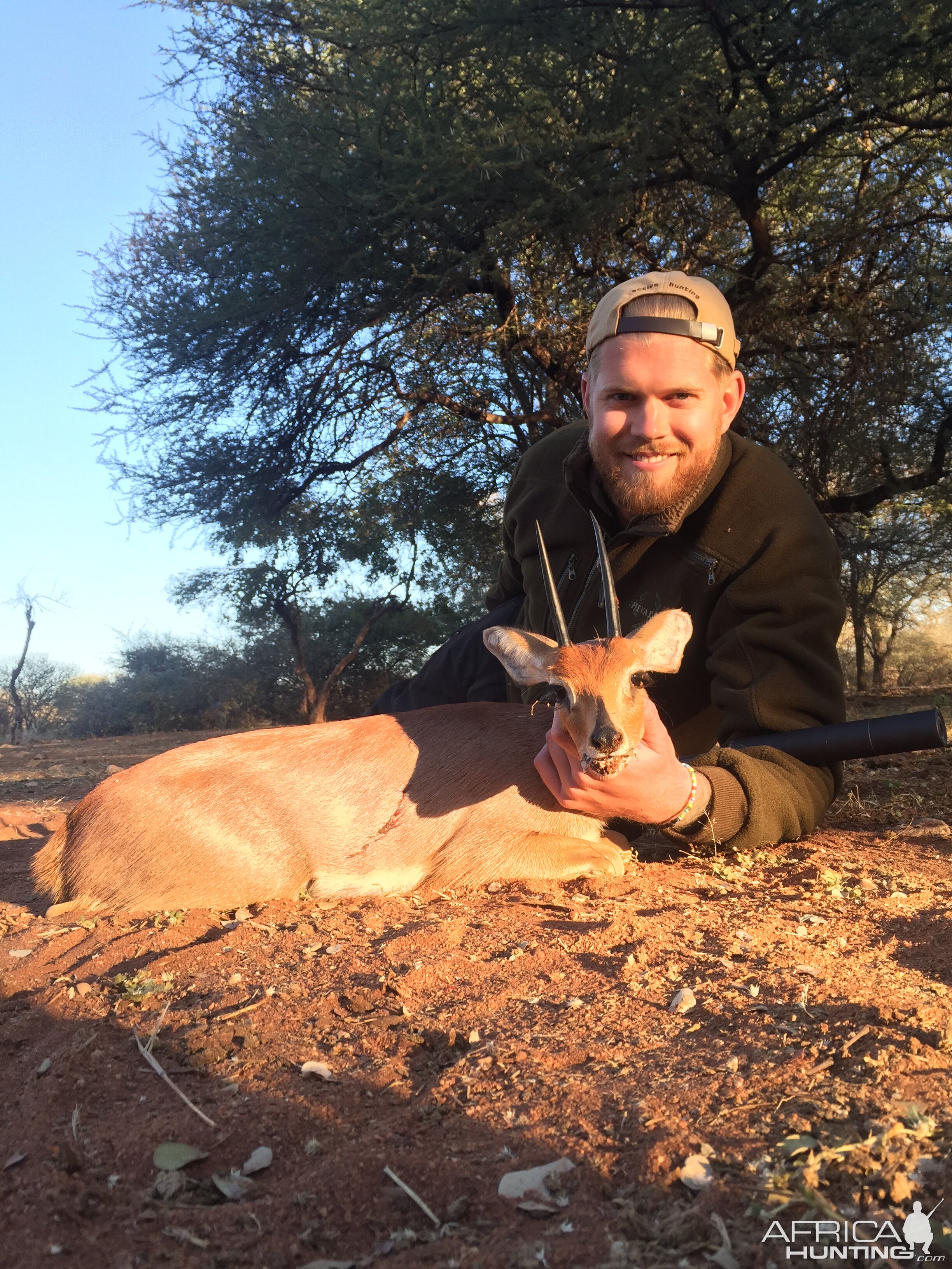 SCI Record Steenbok 6 inches from Limpopo province 2015