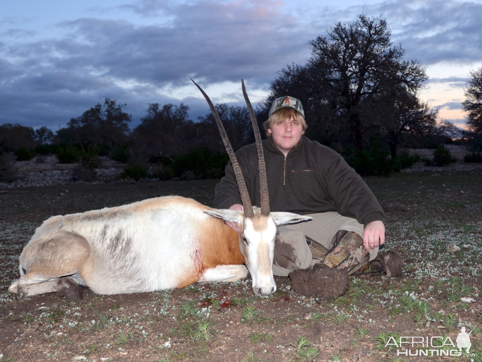 Scimitar Horned Oryx - Zak Texas 2012