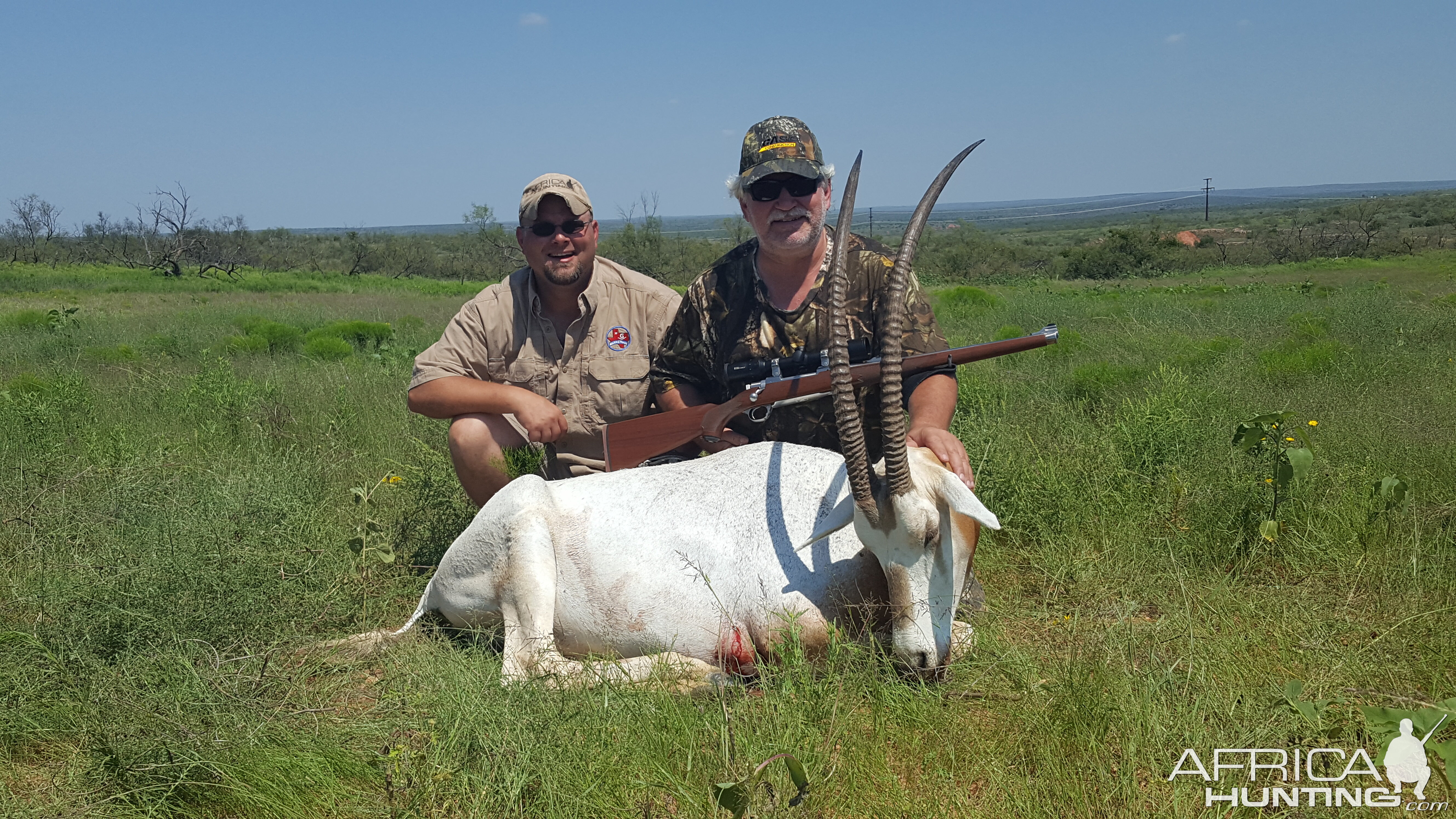 Scimitar oryx Hunt in Texas