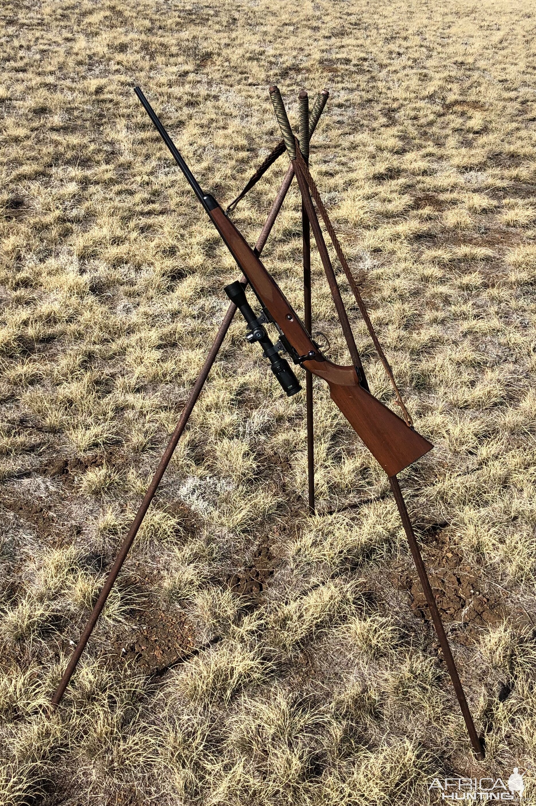 Set of home-made shooting sticks and a Zeiss scoped .22 LR Winchester 52 B Sporter Rifle