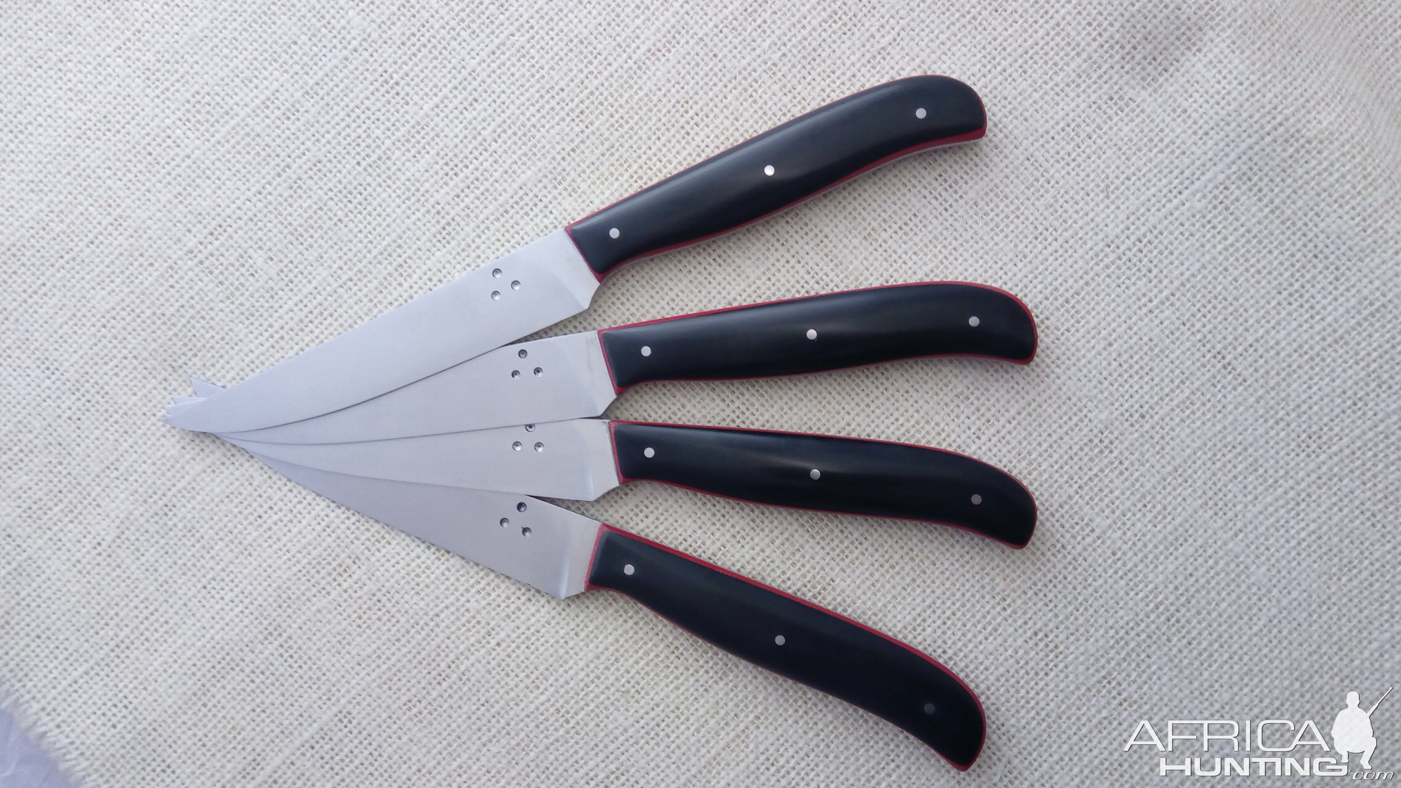 Set of Table Knives