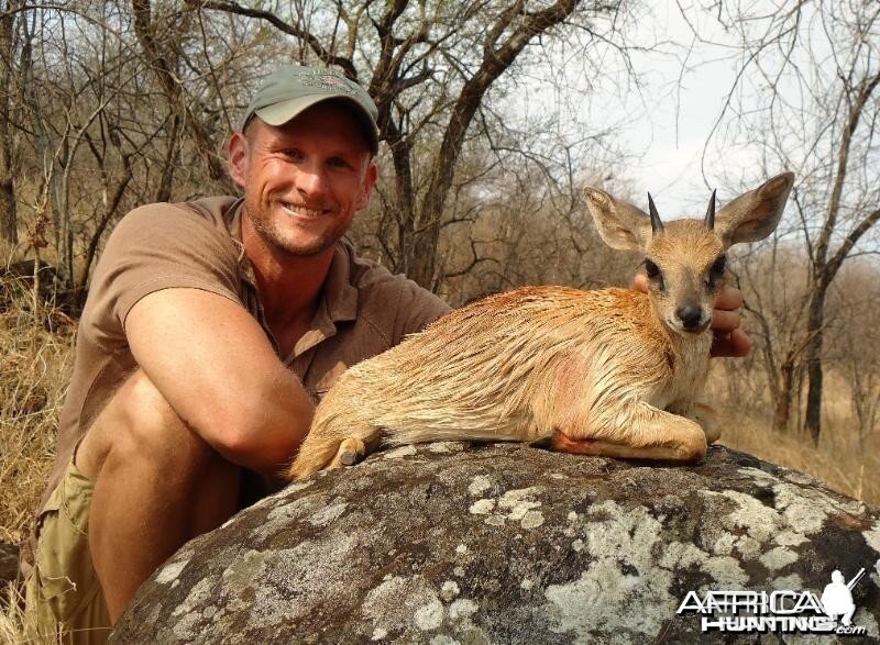 Sharpâ€™s grysbok hunted in Zimbabwe