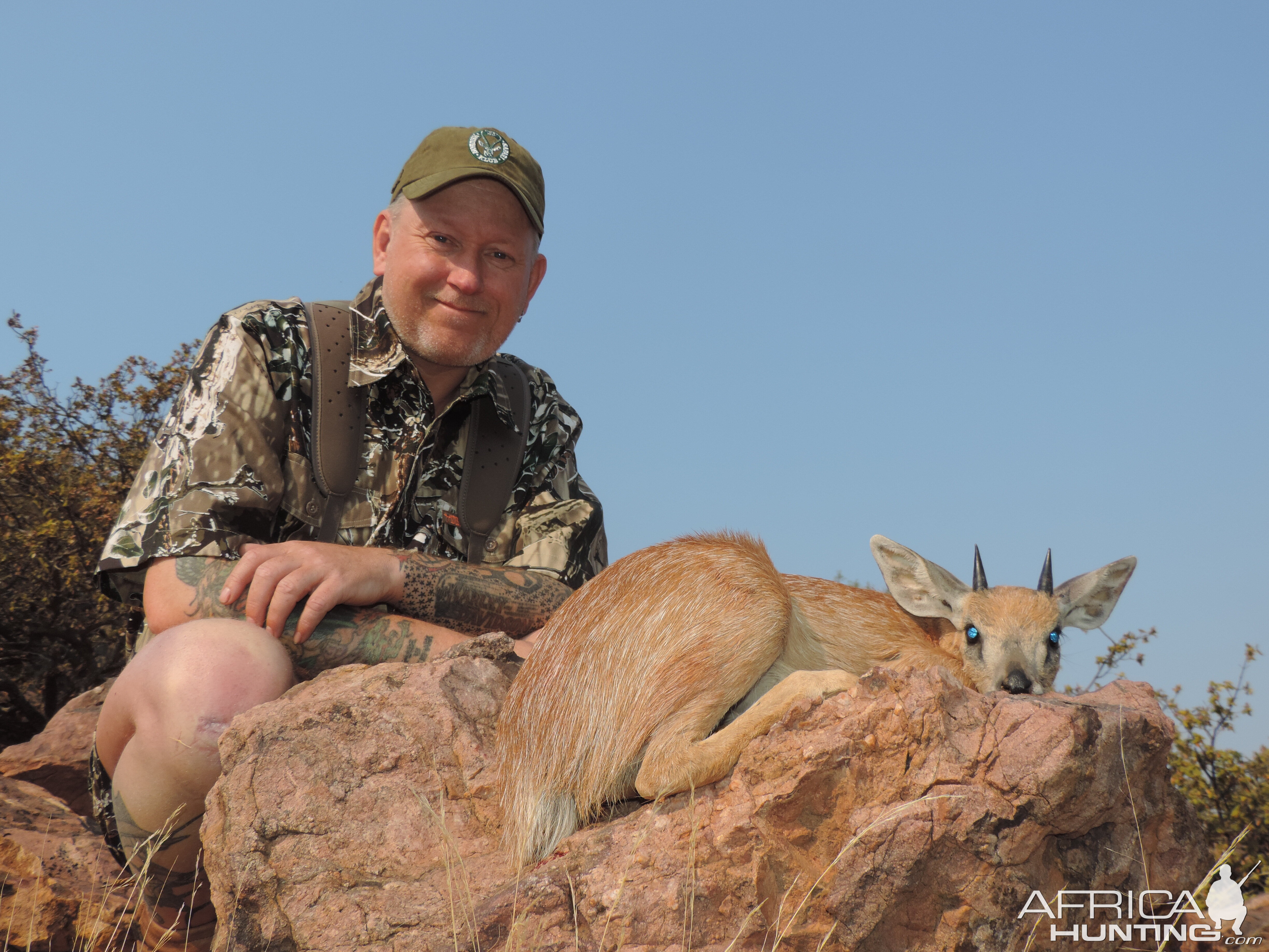 Sharp's Grysbok Mananga safaris