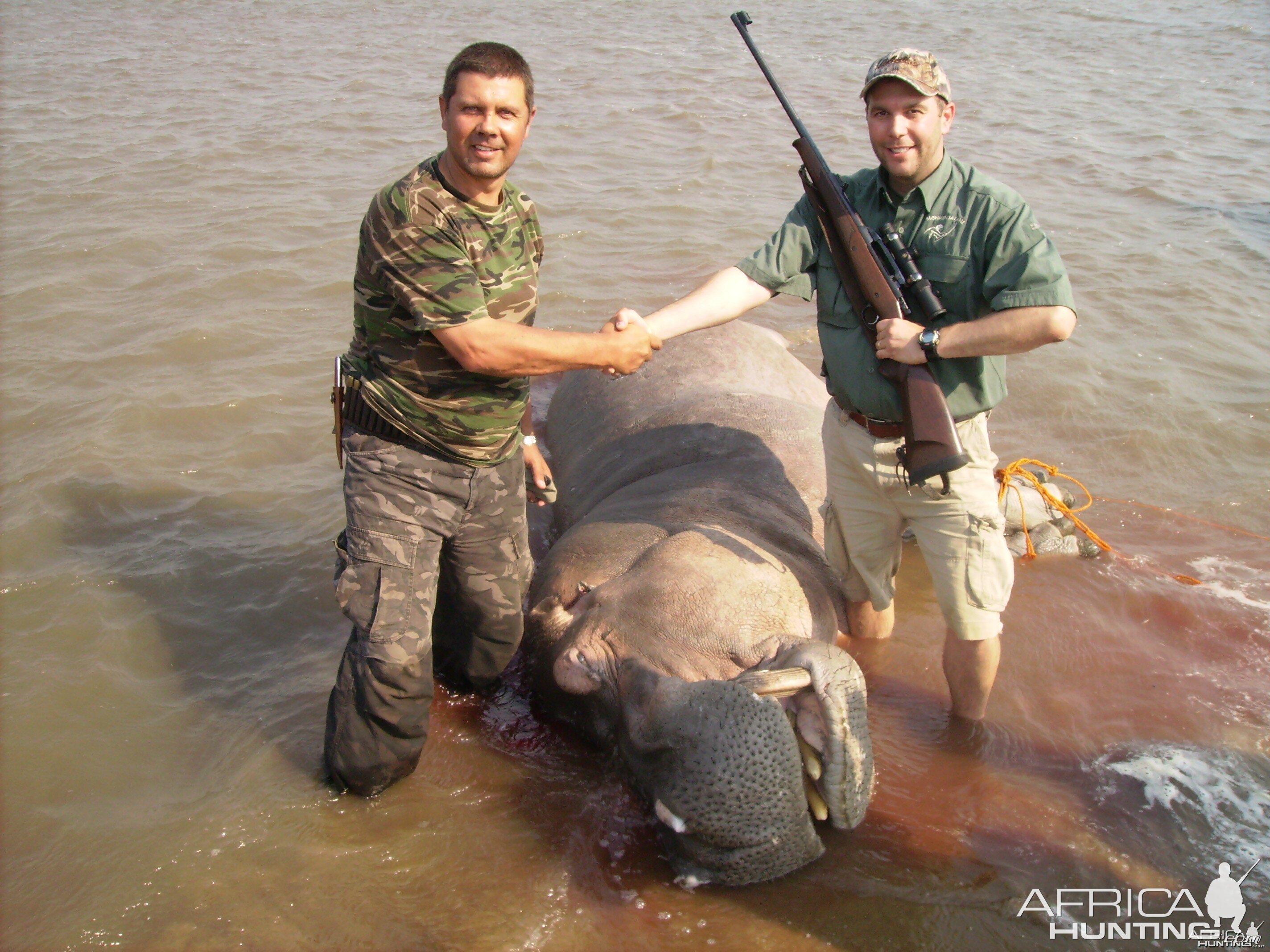 shaun wardle with hippo,2010