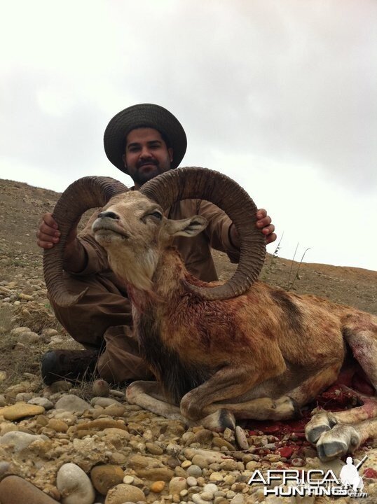 Sheep hunt in Pakistan