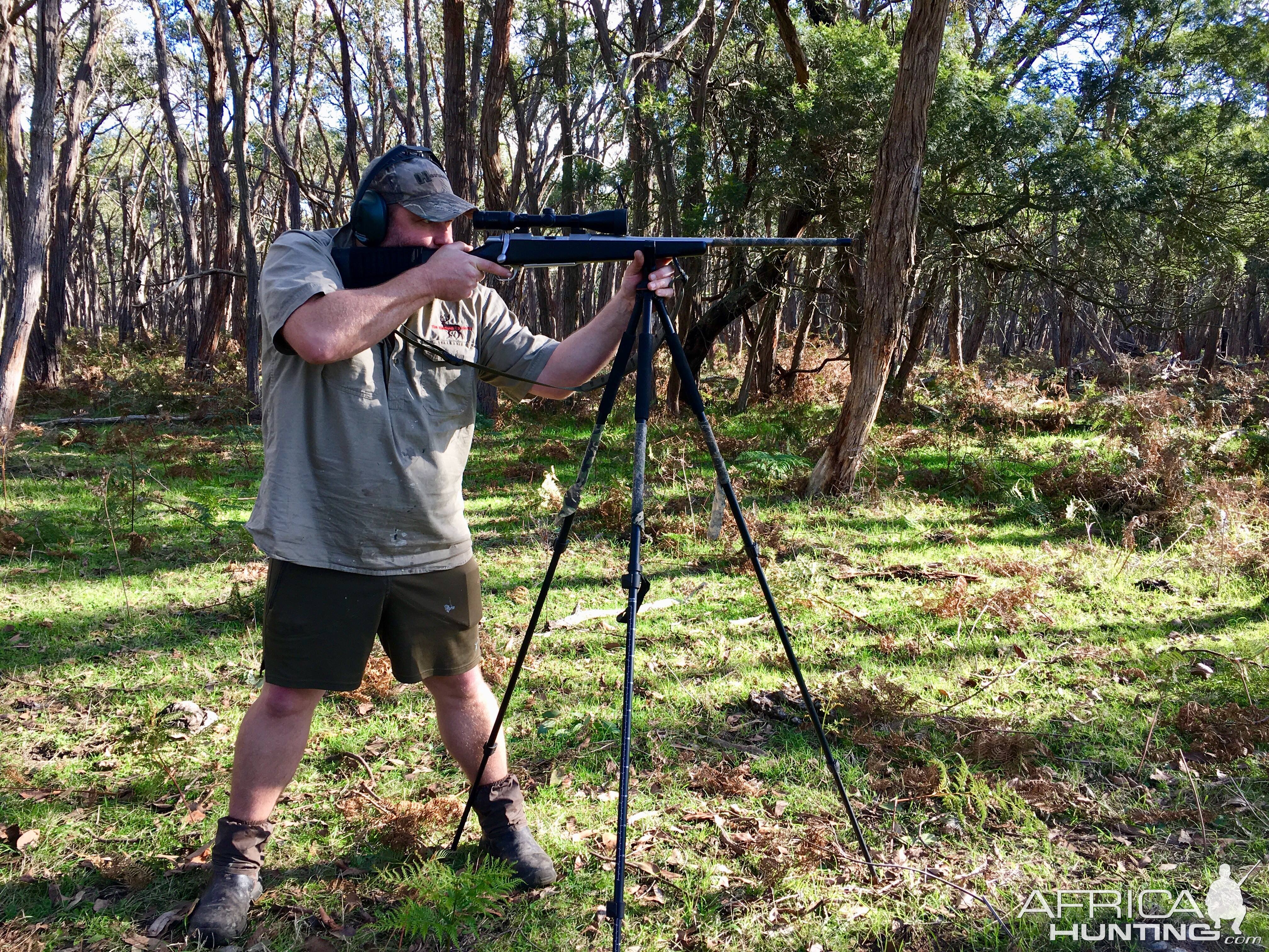 Shooting from Shooting Stick