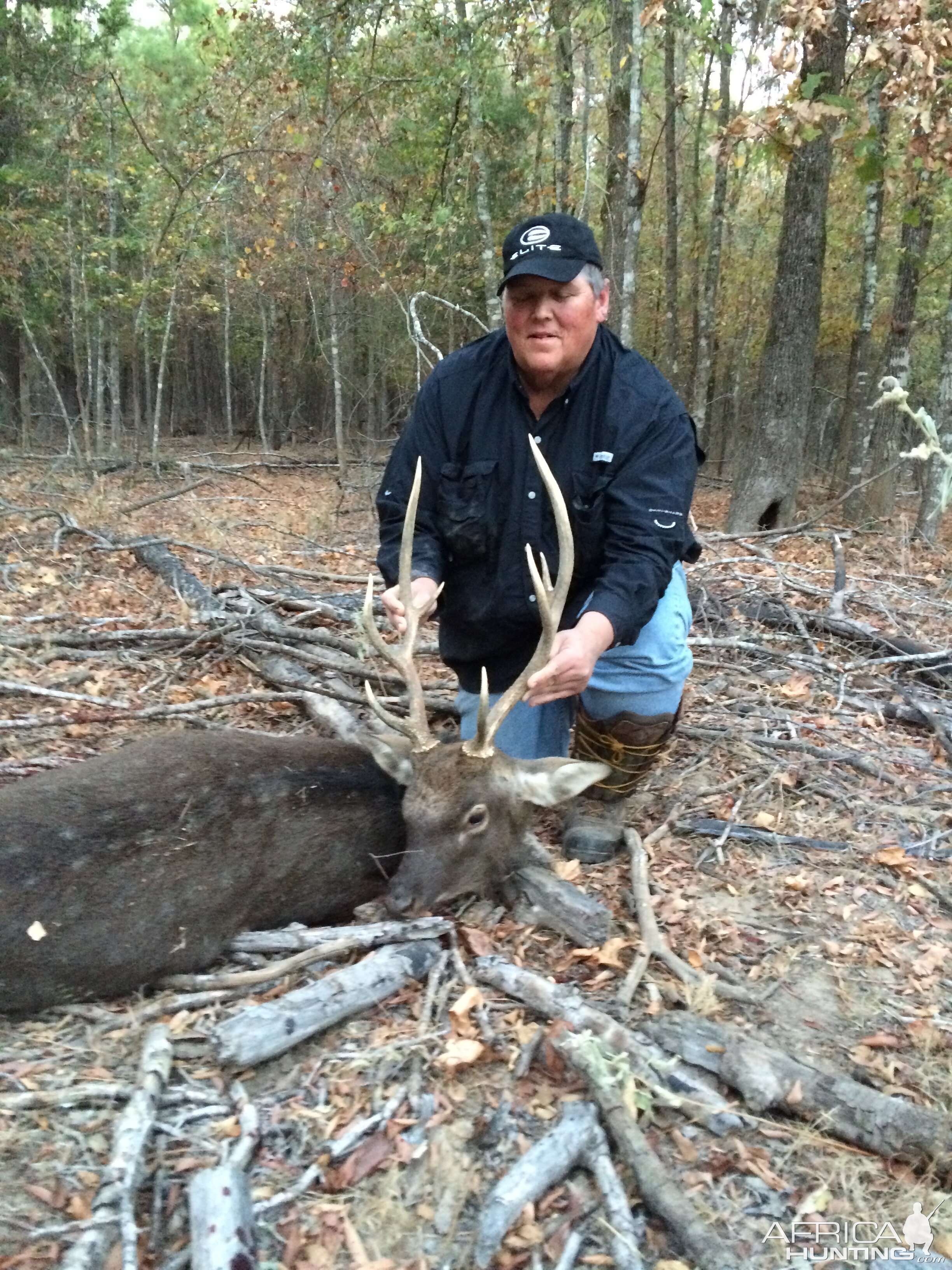 Sika Deer Hunt