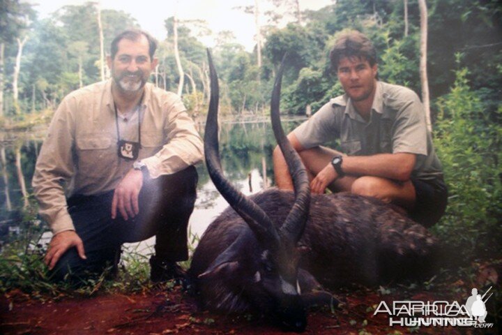 Sitatunga Cameroon