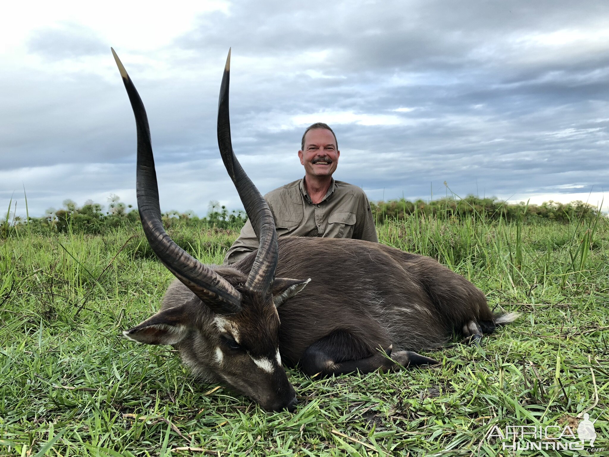 Sitatunga Hunting in Uganda