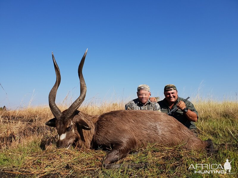 Sitatunga Hunting Zambia