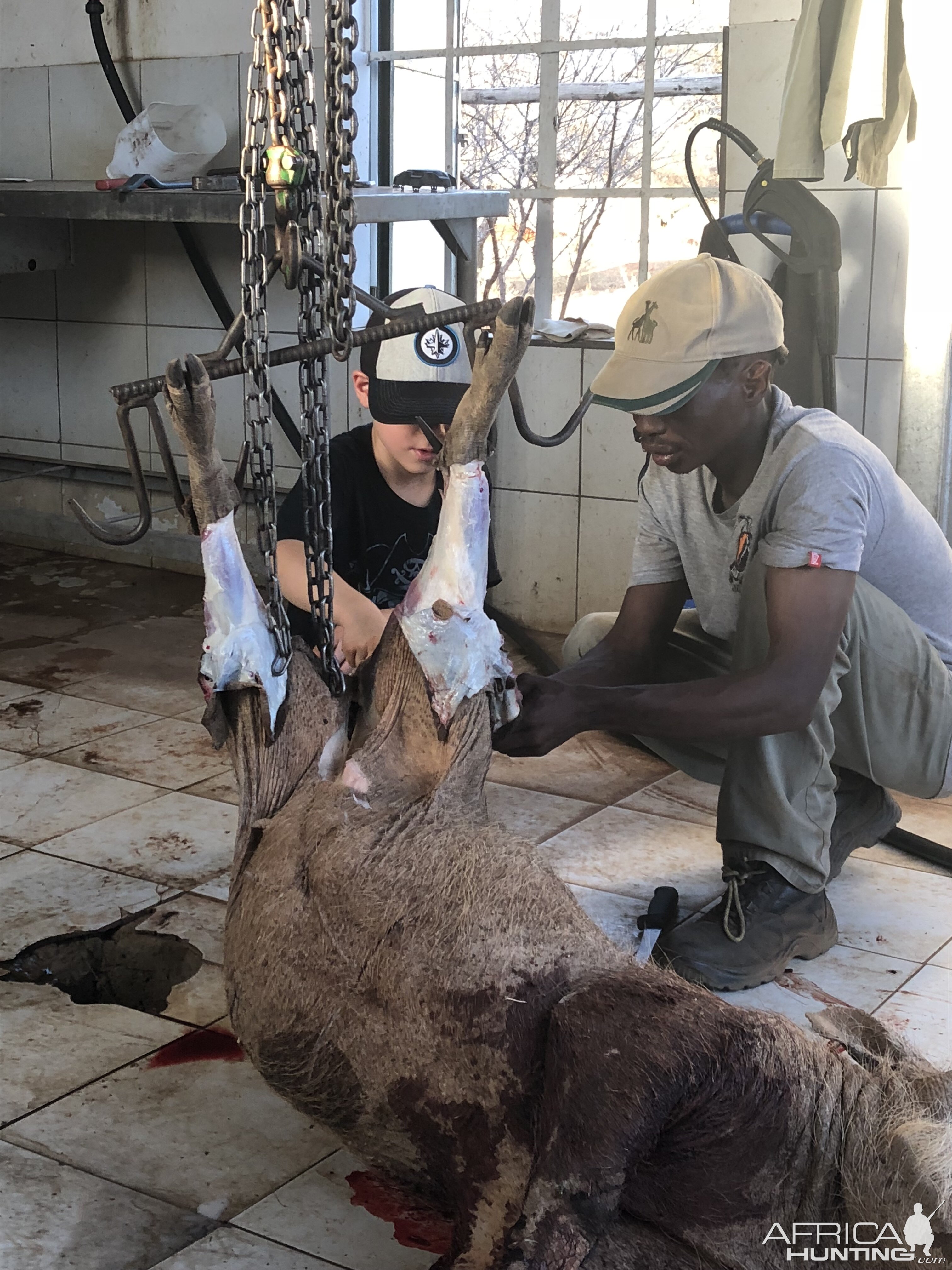 Skinning of Warthog