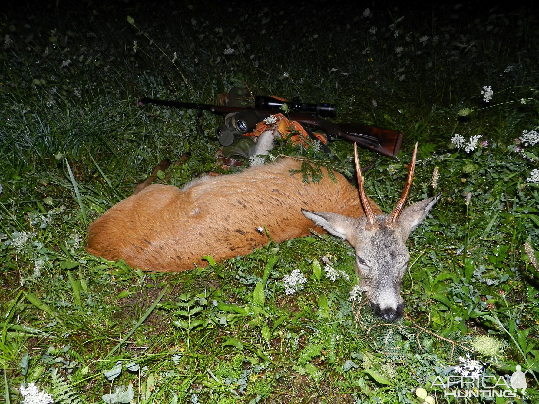 SLovenia Roe Buck Hunting