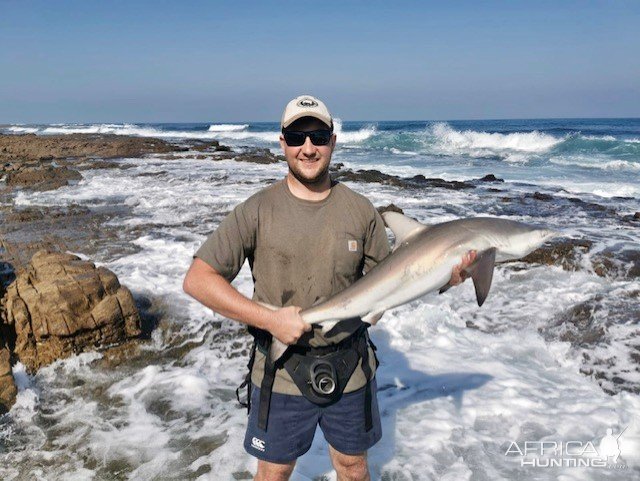 Smooth Hound Shark  Fishing South Africa