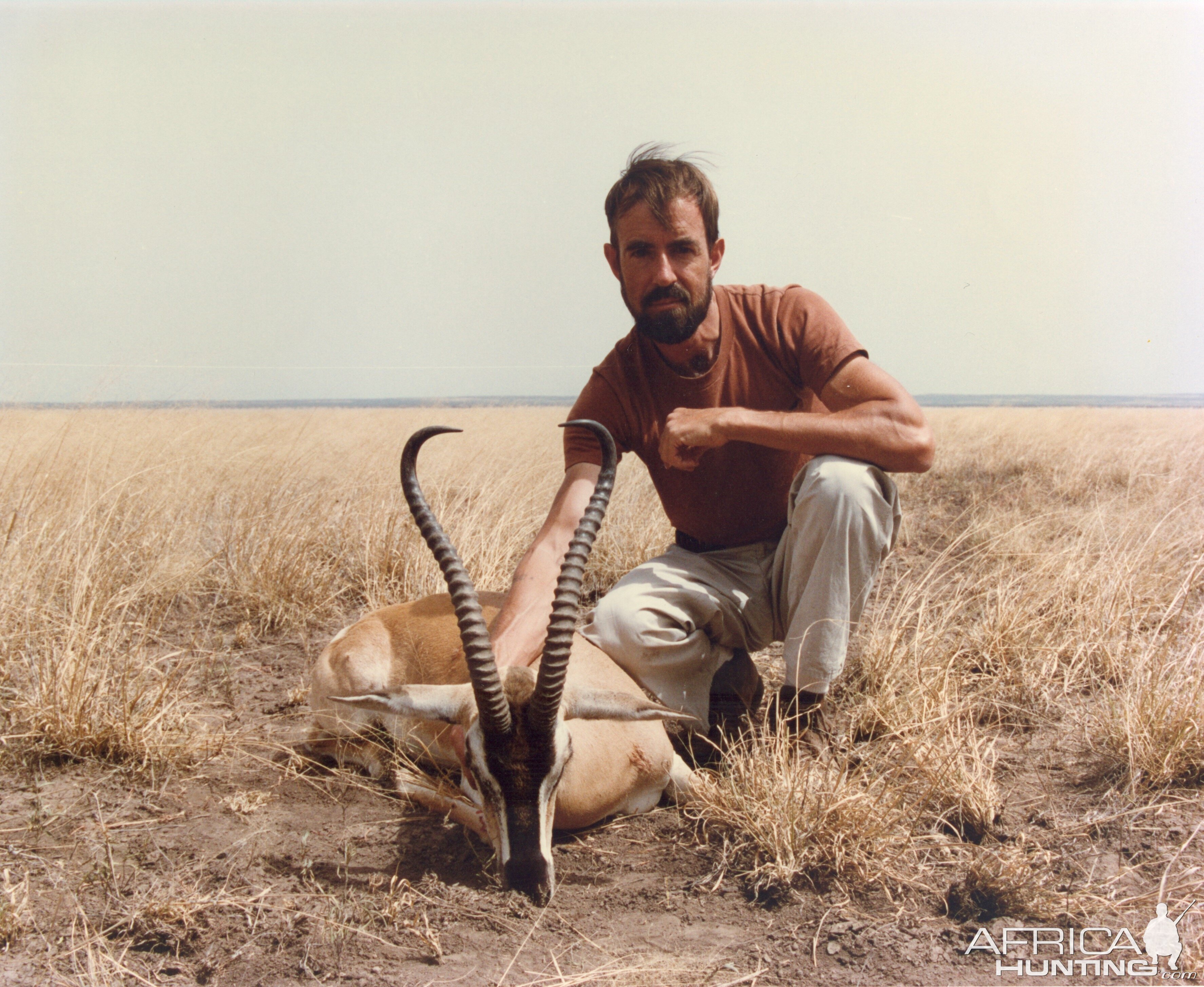 Soemmerring's Gazelle Hunt Alledeghi Plain, Ethiopia