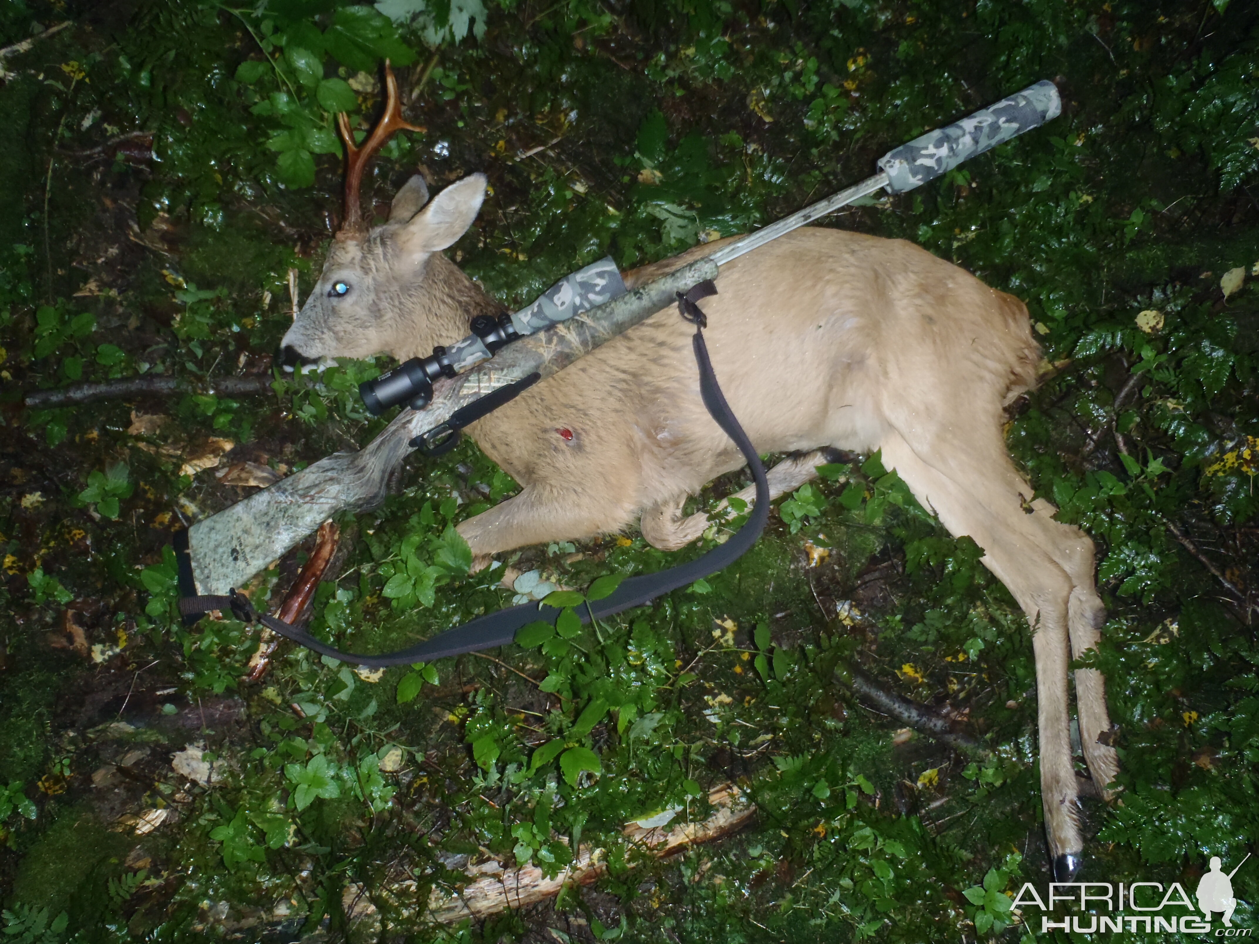 Some hunting photos