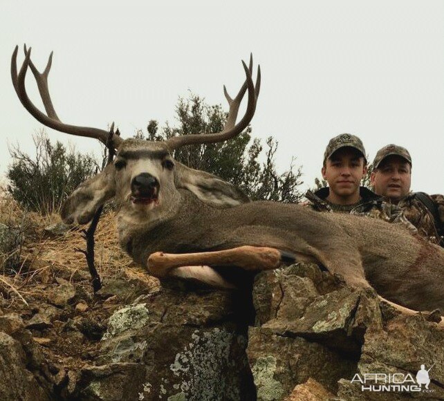 Sons second Mule Deer in 2015 new mexico