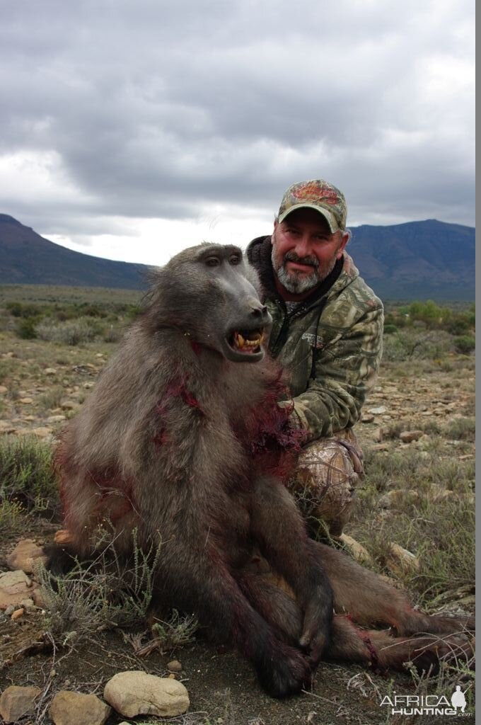 South Africa Baboon Hunt