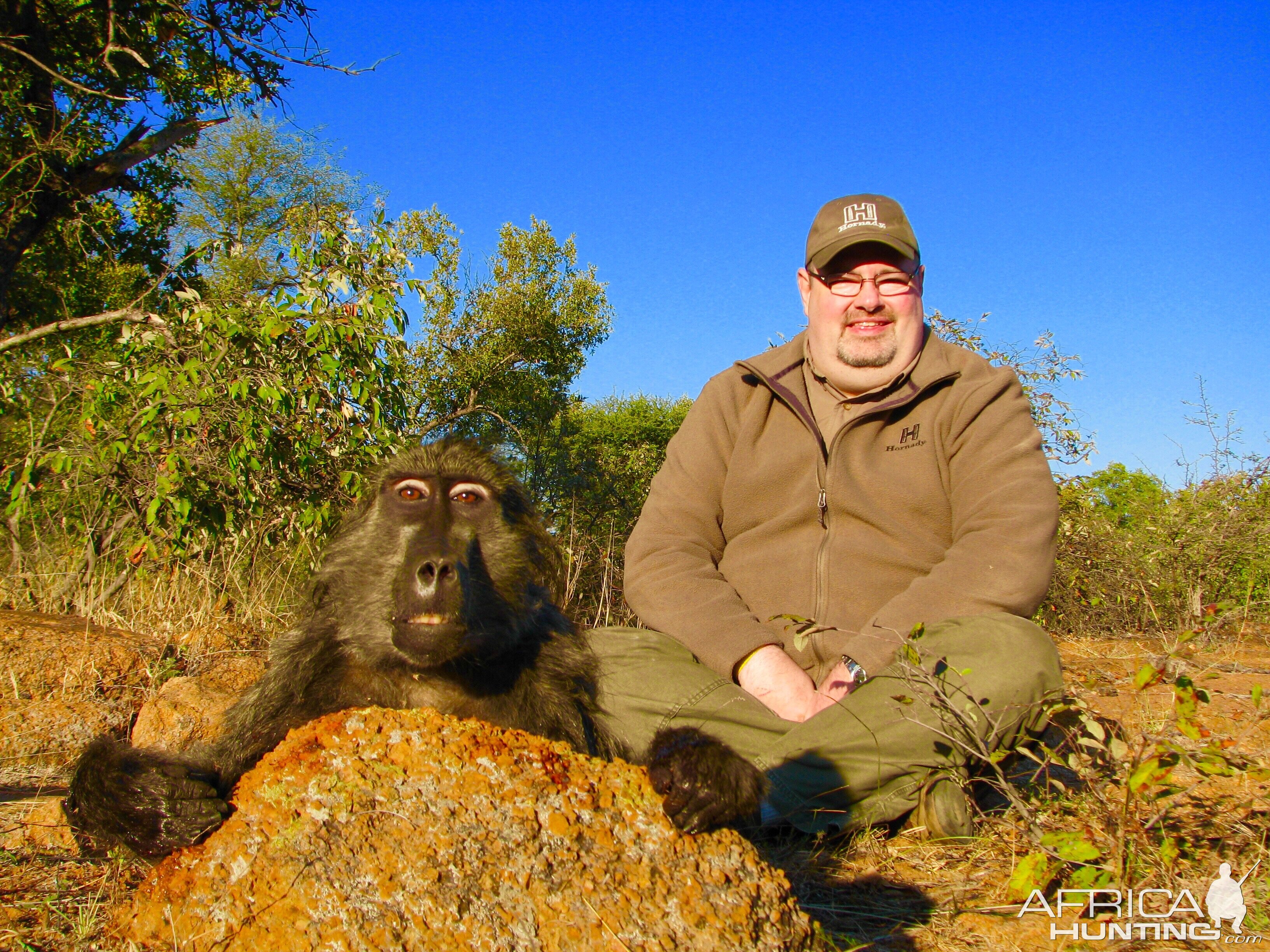 South Africa Baboon Hunt