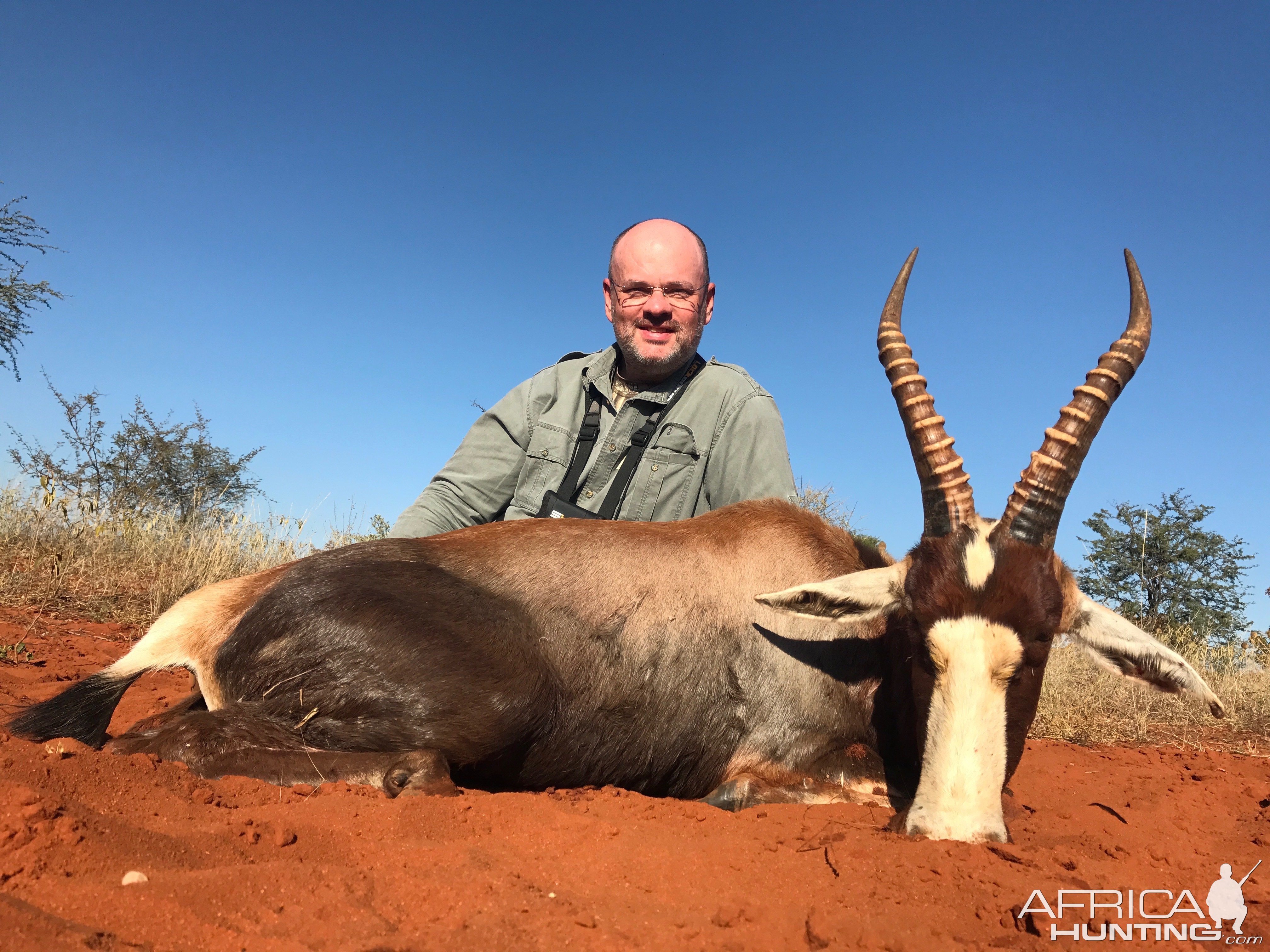 South Africa Blesbok Hunt