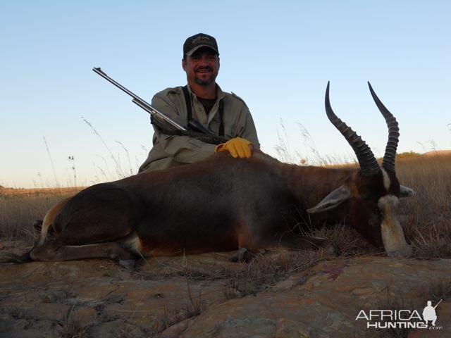 South Africa Blesbok Hunt