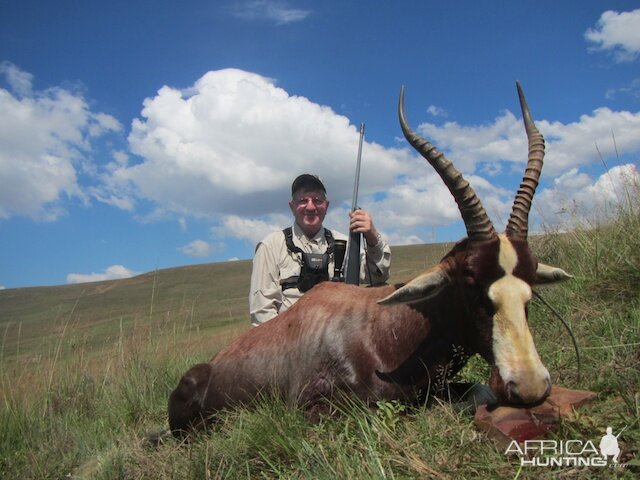 South Africa Blesbok Hunt