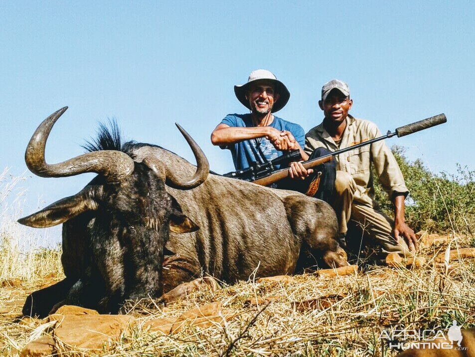 South Africa Blue Wildebeest Hunting