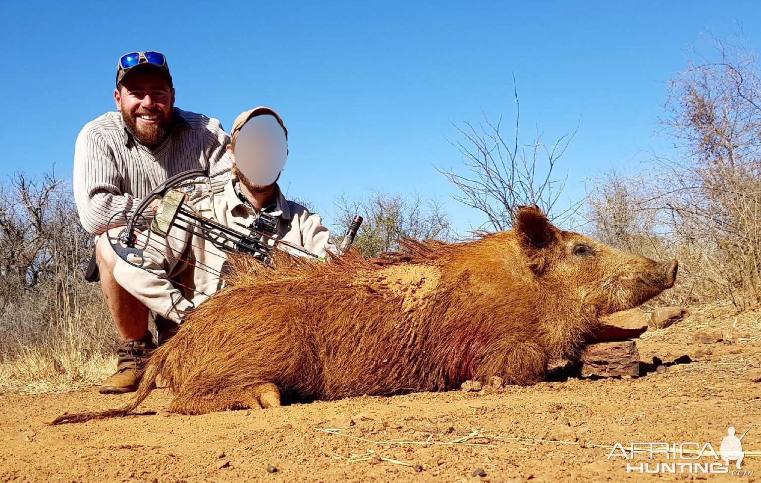 South Africa Boar Hunt