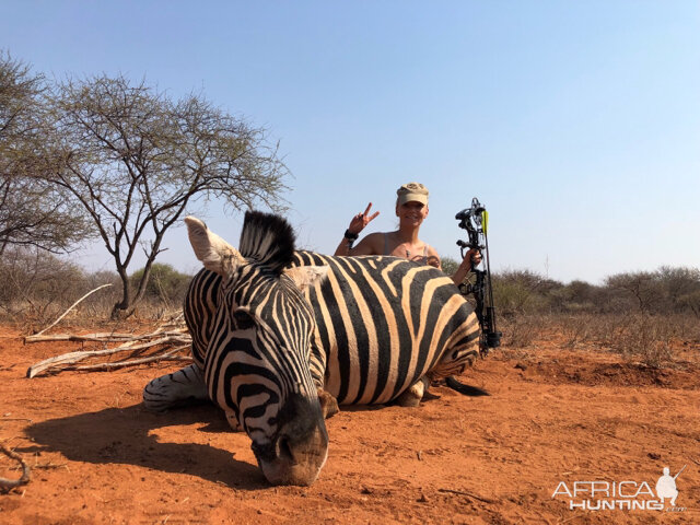 South Africa Bow Hunt Burchell's Plain Zebra