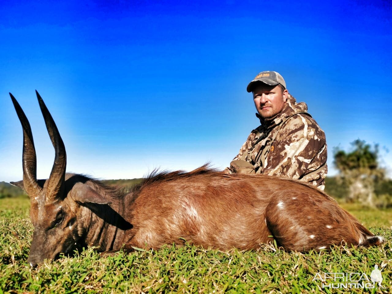 South Africa Bow Hunt Bushbuck