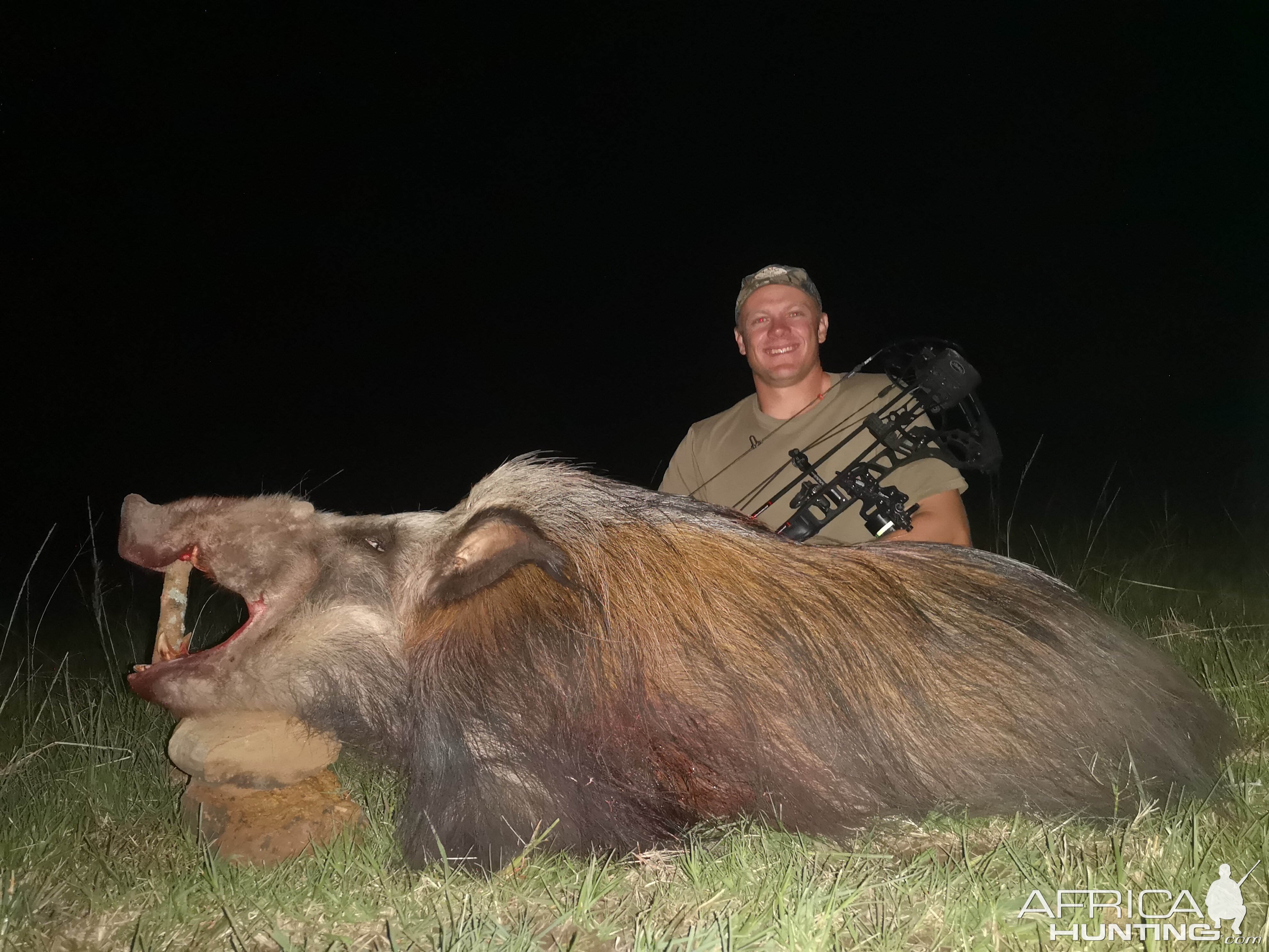 South Africa Bow Hunt Bushpig