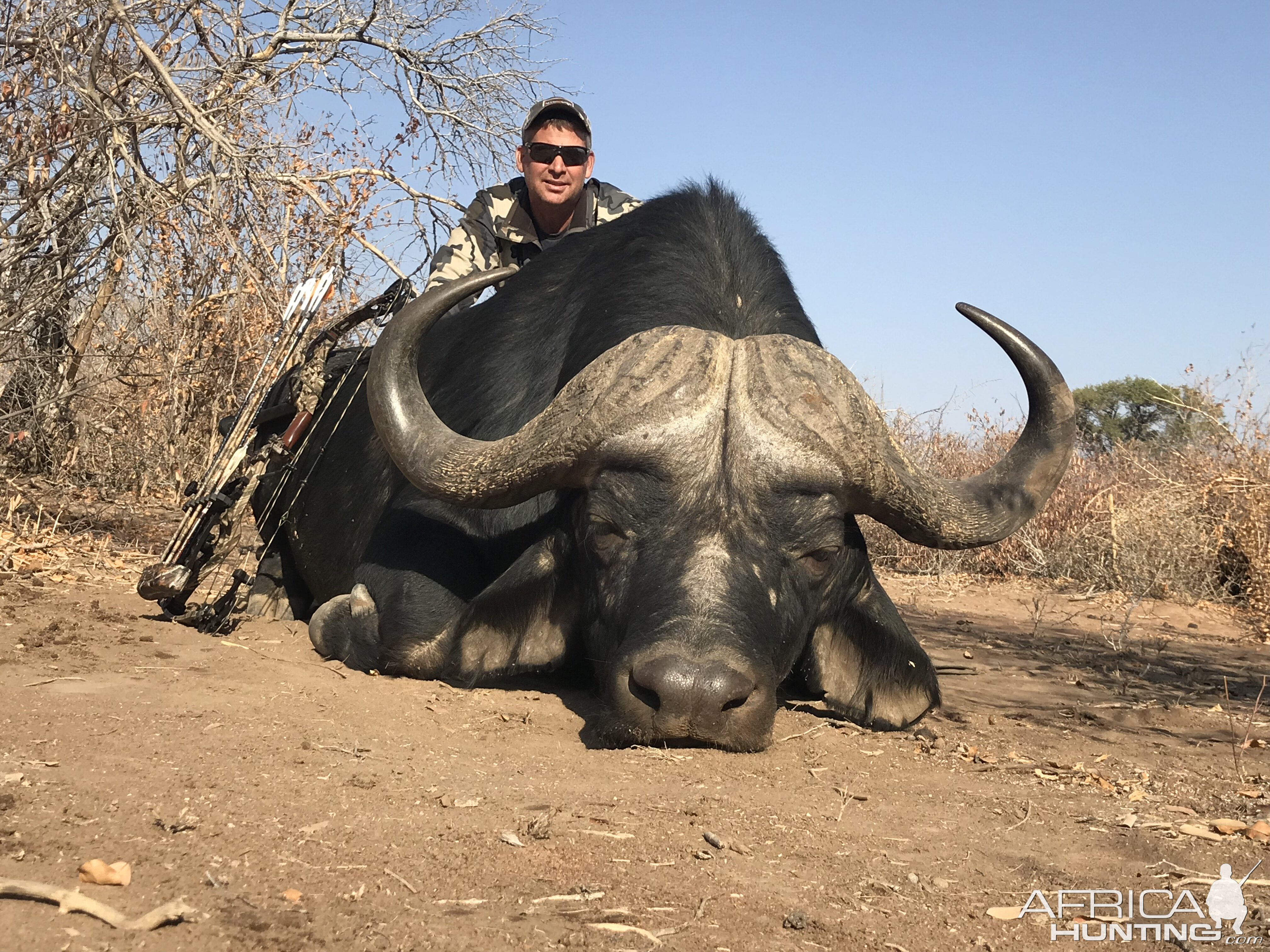 South Africa Bow Hunt Cape Buffalo