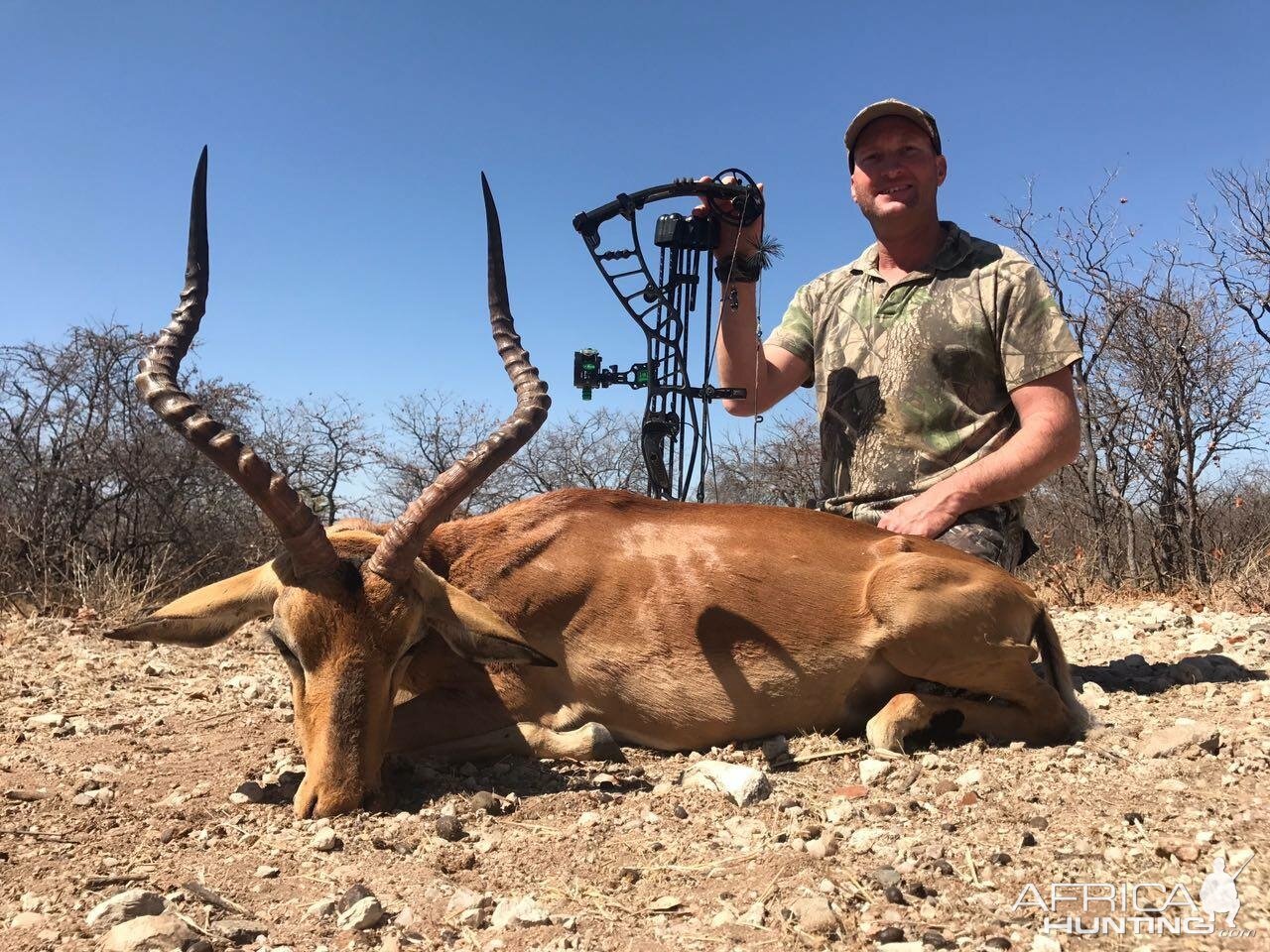 South Africa Bow Hunt Impala