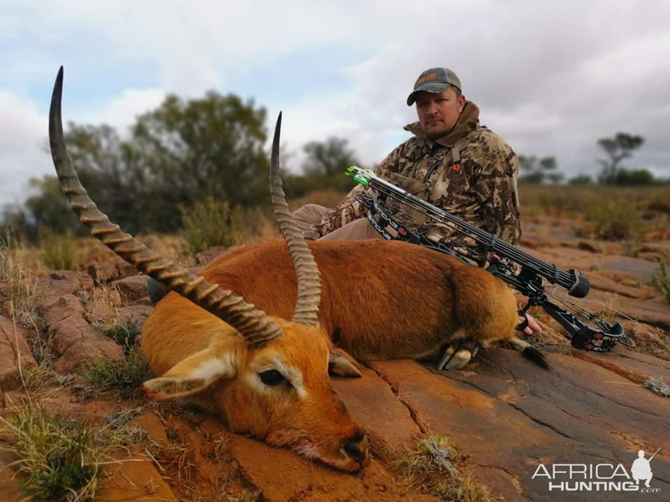 South Africa Bow Hunt Red Lechwe
