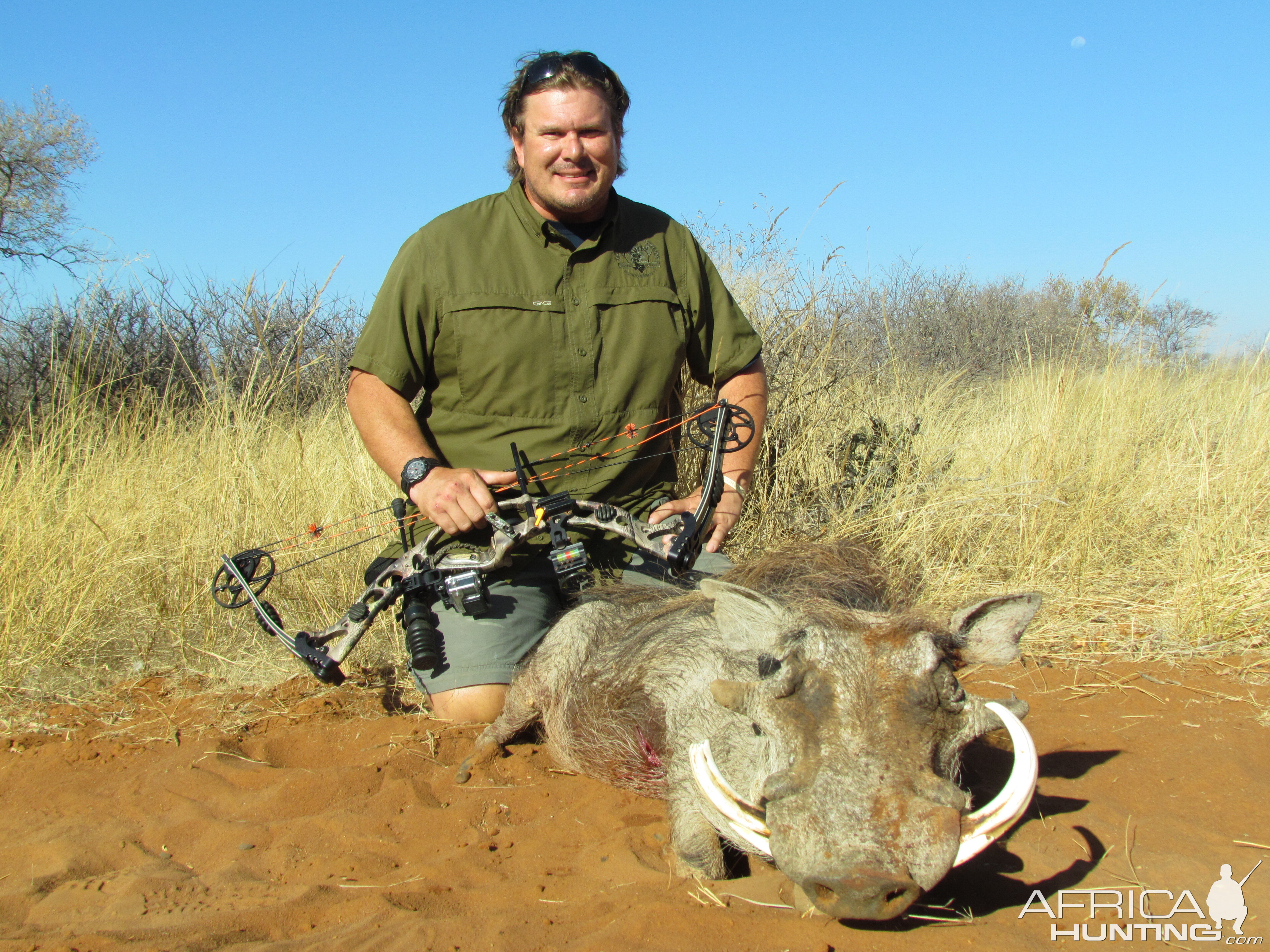 South Africa Bow Hunt Warthog