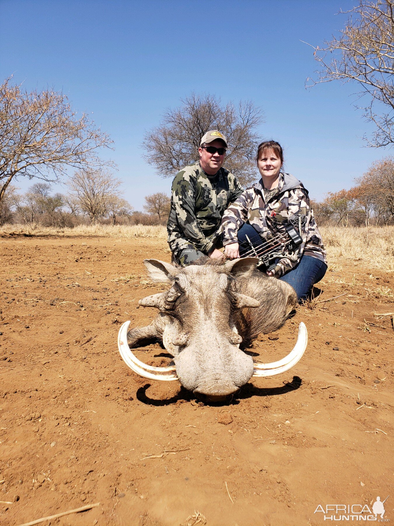 South Africa Bow Hunt Warthog