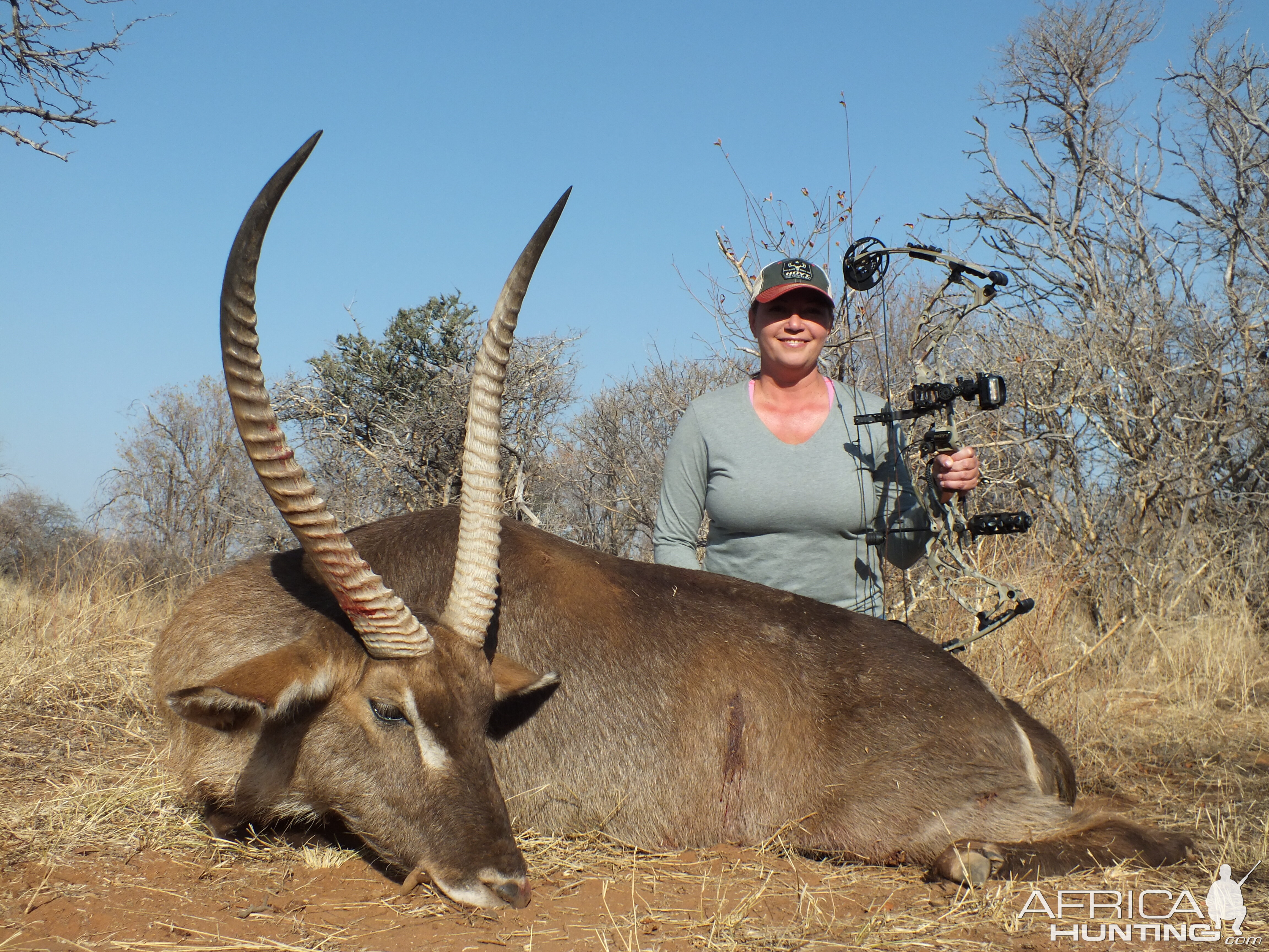 South Africa Bow Hunt Waterbuck