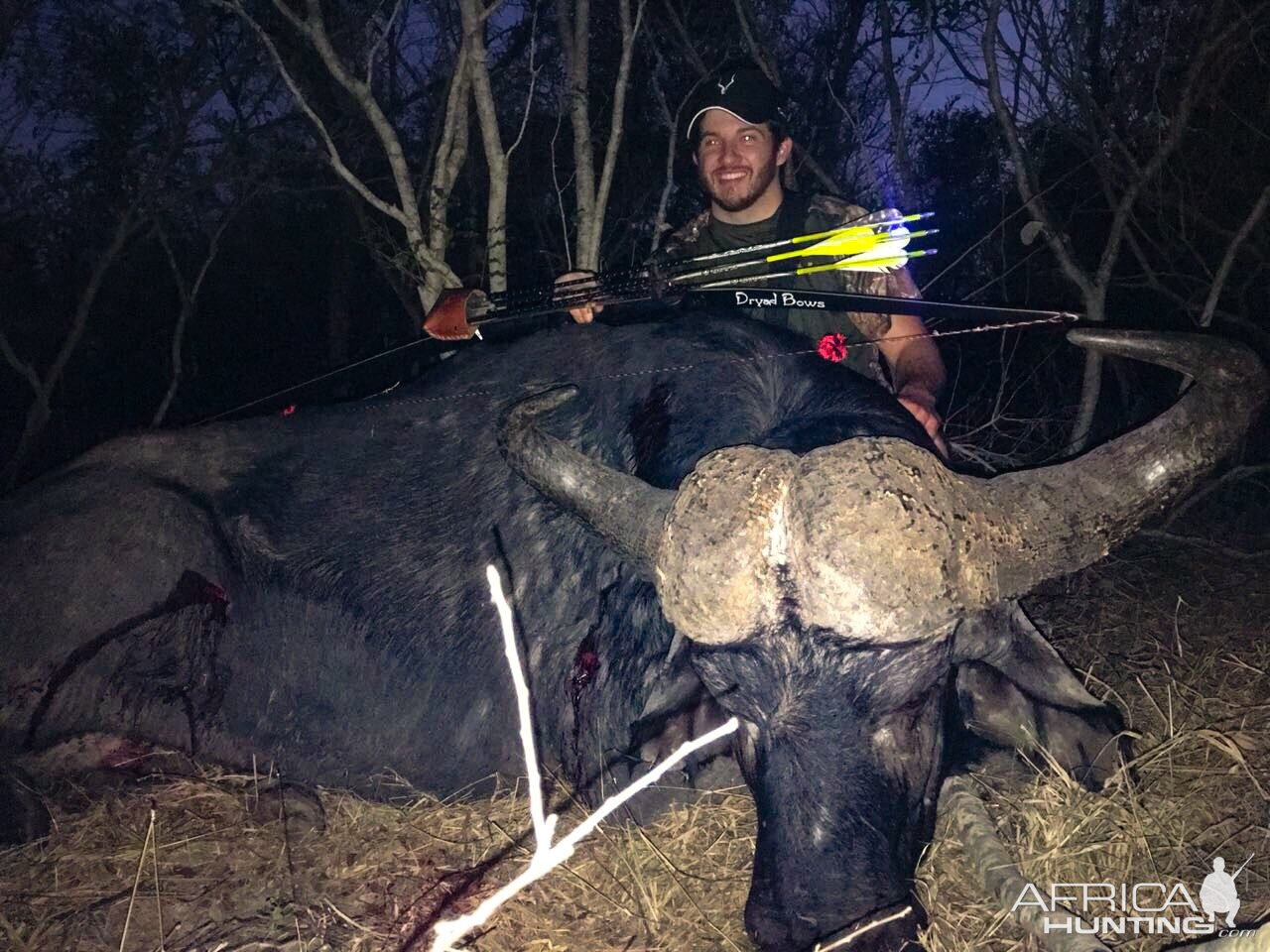 South Africa Bow Hunting Cape Buffalo