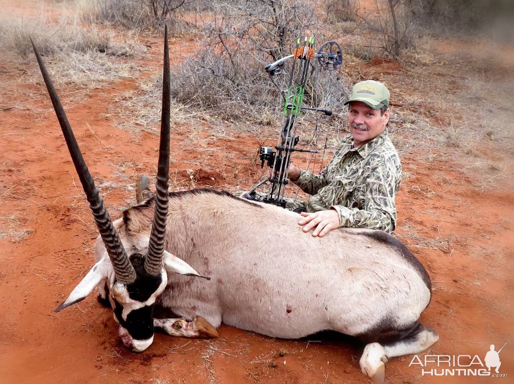 South Africa Bow Hunting Gemsbok