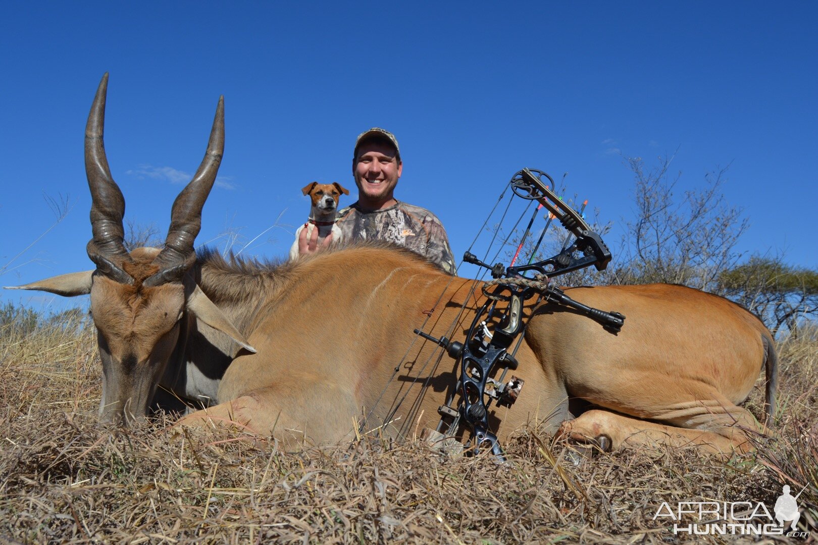 South Africa Bow Hunting Livingstone Eland