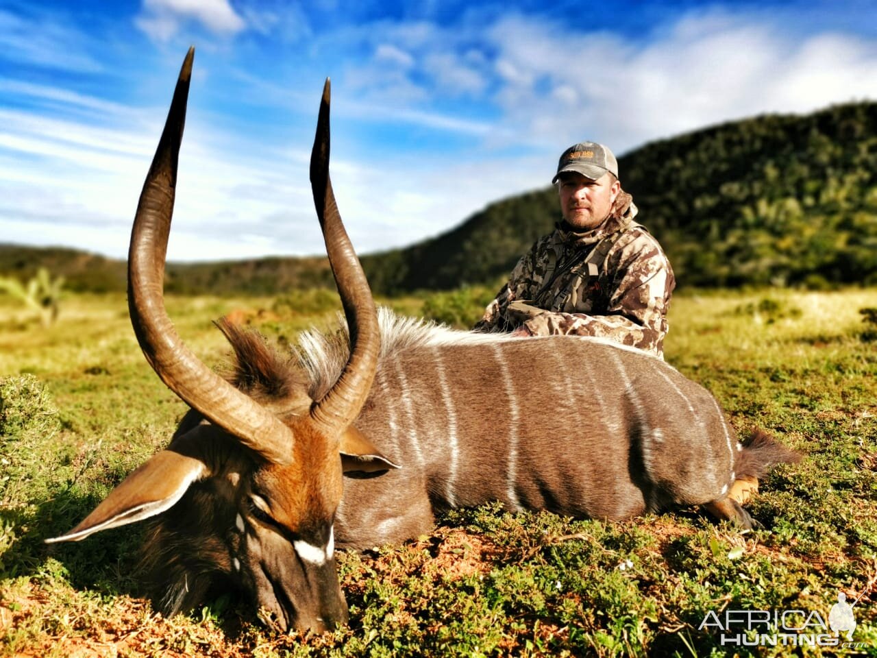 South Africa Bow Hunting Nyala