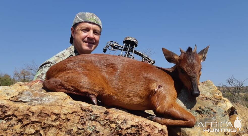 South Africa Bow Hunting Red Duiker