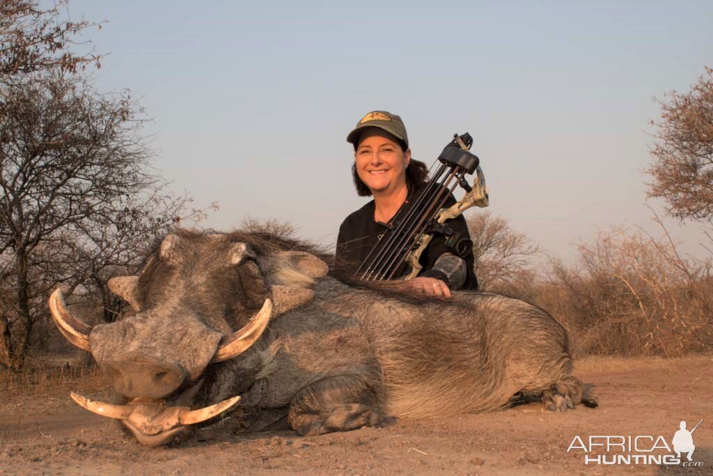 South Africa Bow Hunting Warthog