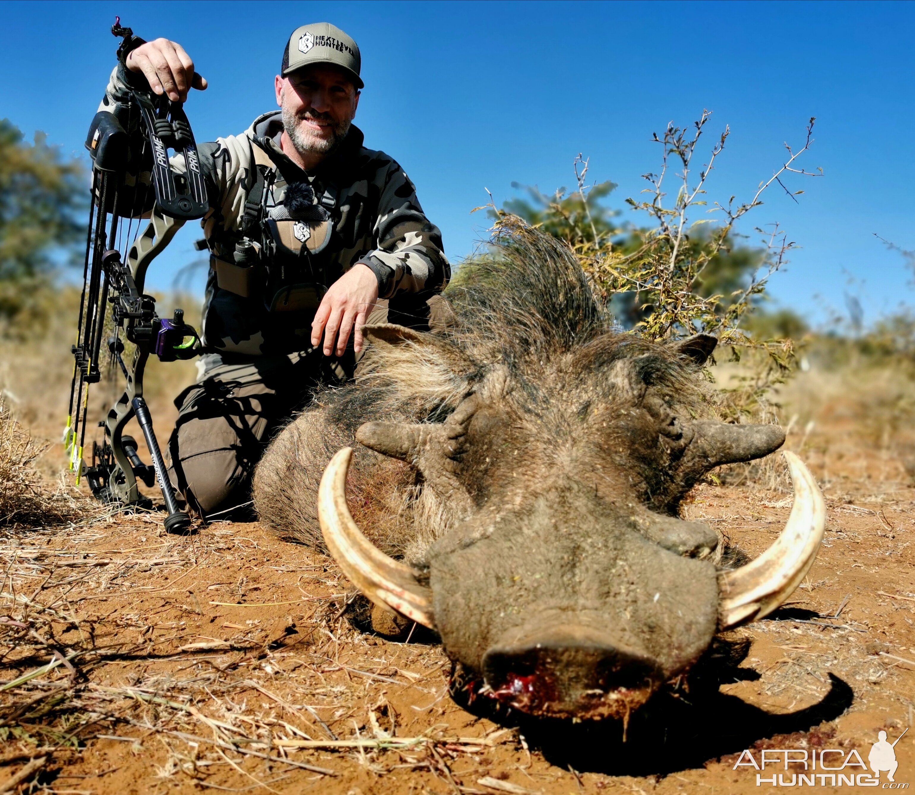 South Africa Bow Hunting Warthog