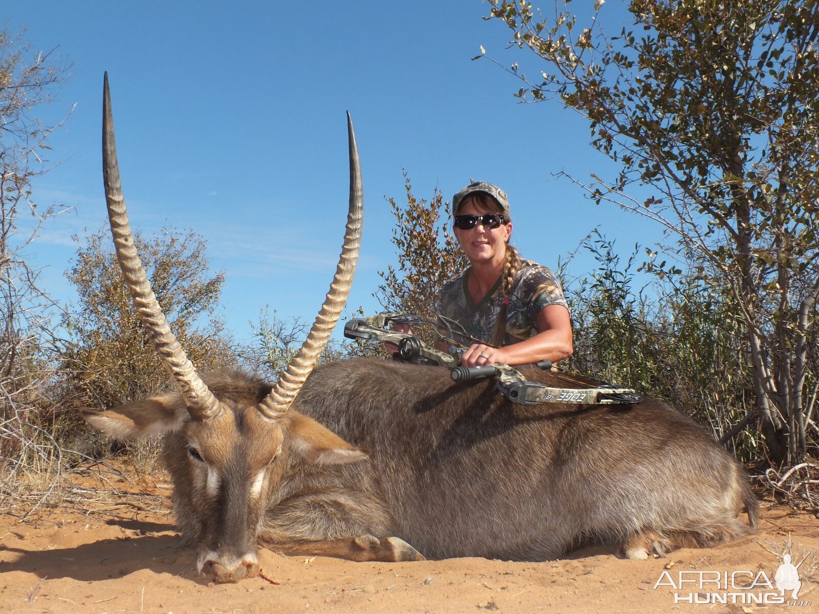 South Africa Bow Hunting Waterbuck