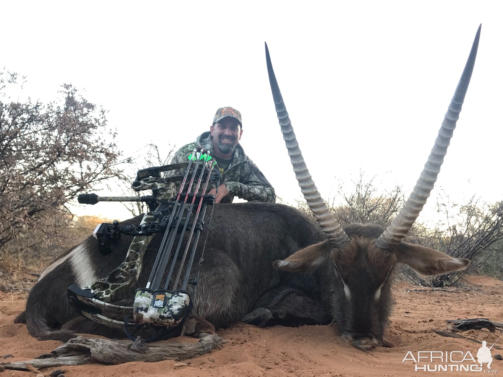 South Africa Bow Hunting Waterbuck