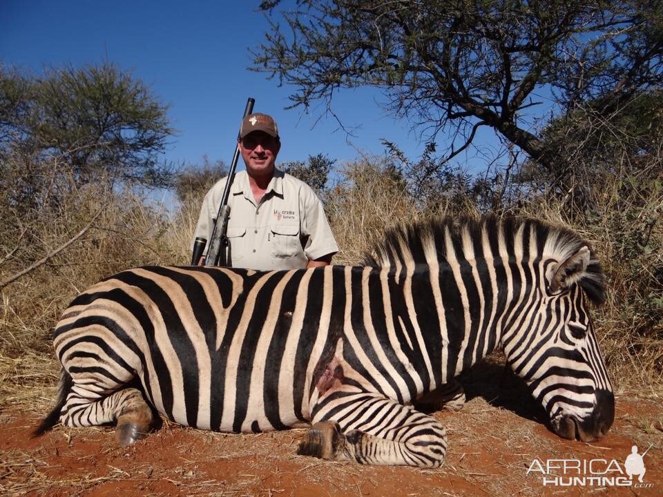South Africa Burchell's Plain Zebra Hunt