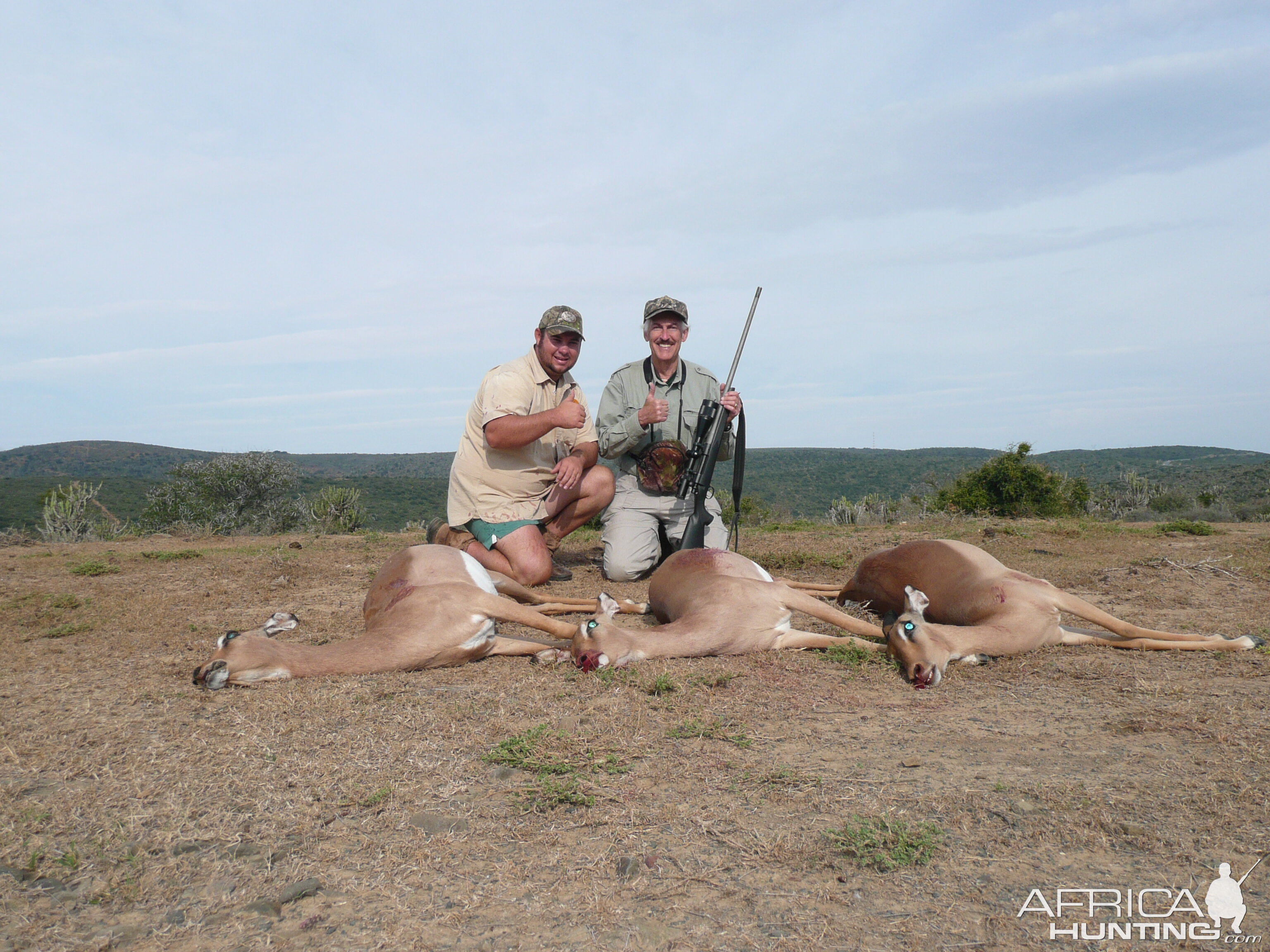 South Africa Cull Hunting Female Impala